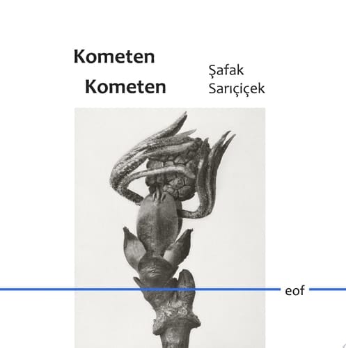 Kometen Kometen Gedichte