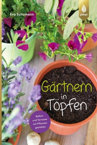 Gärtnern in Töpfen Balkon und Terrasse mit Pflanzen gestalten