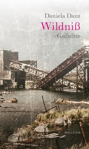 Wildniß Gedichte
