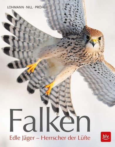 Falken Edle Jäger - Herrscher der Lüfte