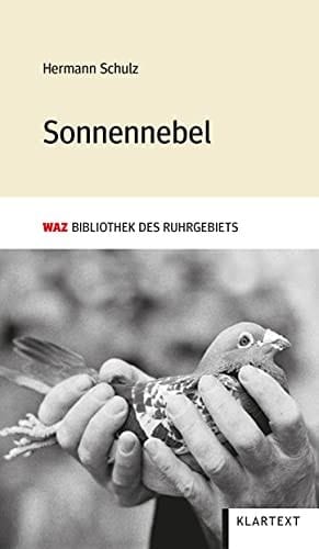 Sonnennebel Roman