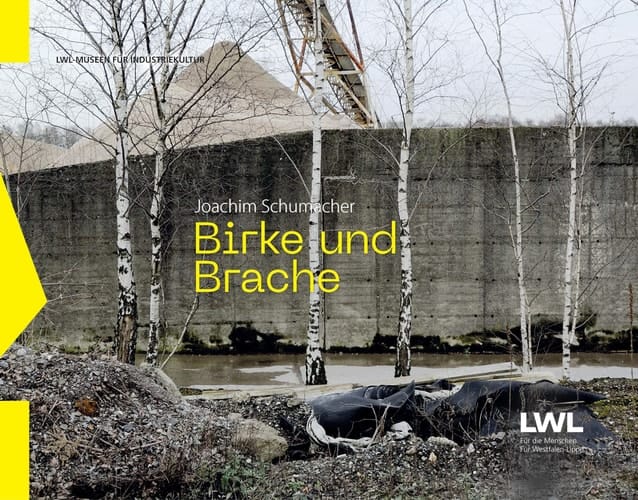 Birke und Brache die Birkenwälder auf den Industriebrachen des Ruhrgebiets (2015-2023)