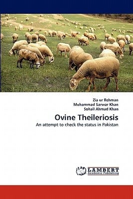 Ovine Theileriosis