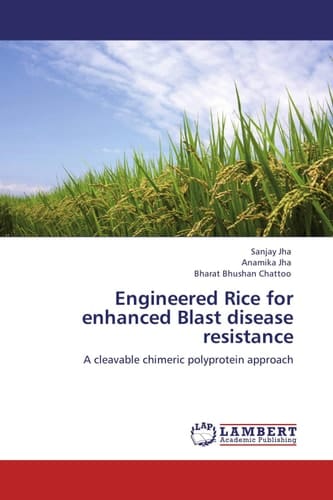 Engineered Rice for Enhanced Blast Disease Resistance
