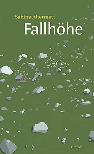 Fallhöhe: Roman