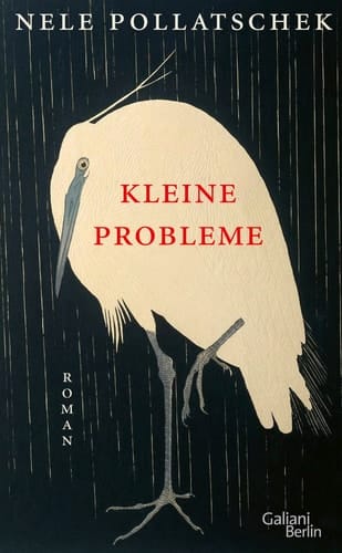 Kleine Probleme Roman