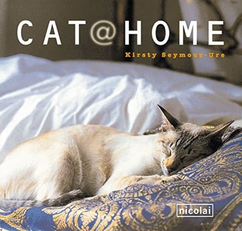 Cat _372 home