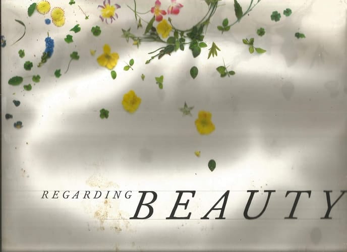 Beauty now - die Schönheit in der Kunst am Ende des 20. Jahrhunderts : [erscheint zur Ausstellung "Beauty Now - Schönheit in der Kunst am Ende des 20. Jahrhunderts", Hirshhorn Museum and Sculpture Garden, Washington, D.C. 7. Oktober 1999 bis 17. Januar 2000 ; Haus der Kunst, München, 11. Februar bis 30. April 2000]