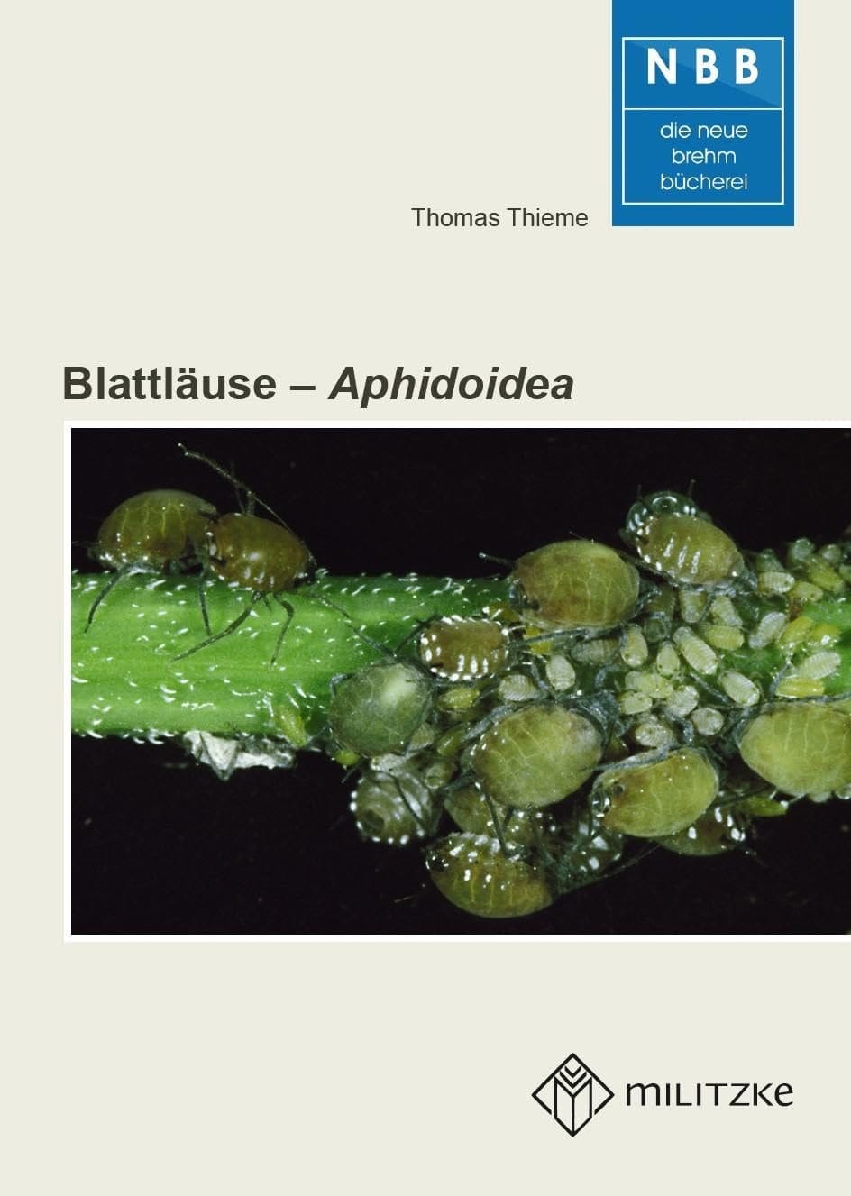 Blattläuse Aphidoidea