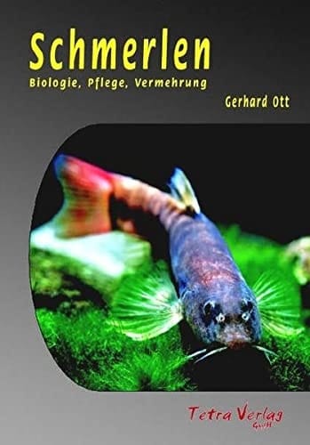 Schmerlen Biologie, Pflege, Vermehrung