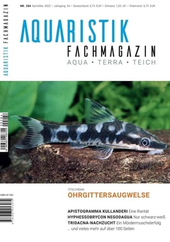 Aquaristik-Fachmagazin, Ausgabe Nr. 284 (April/Mai 2022), Titelthema: OHRGITTERWELSE und viele weitere Artikel auf über 100 Seiten