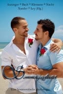 Sommergayflüster Eine homoerotische Anthologie