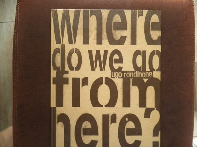 Where do we go from here? Biennale Sao Paolo 1996 Katalog