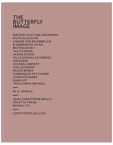The Butterfly Image