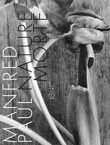 Manfred Paul: Nature Morte 1983 1985