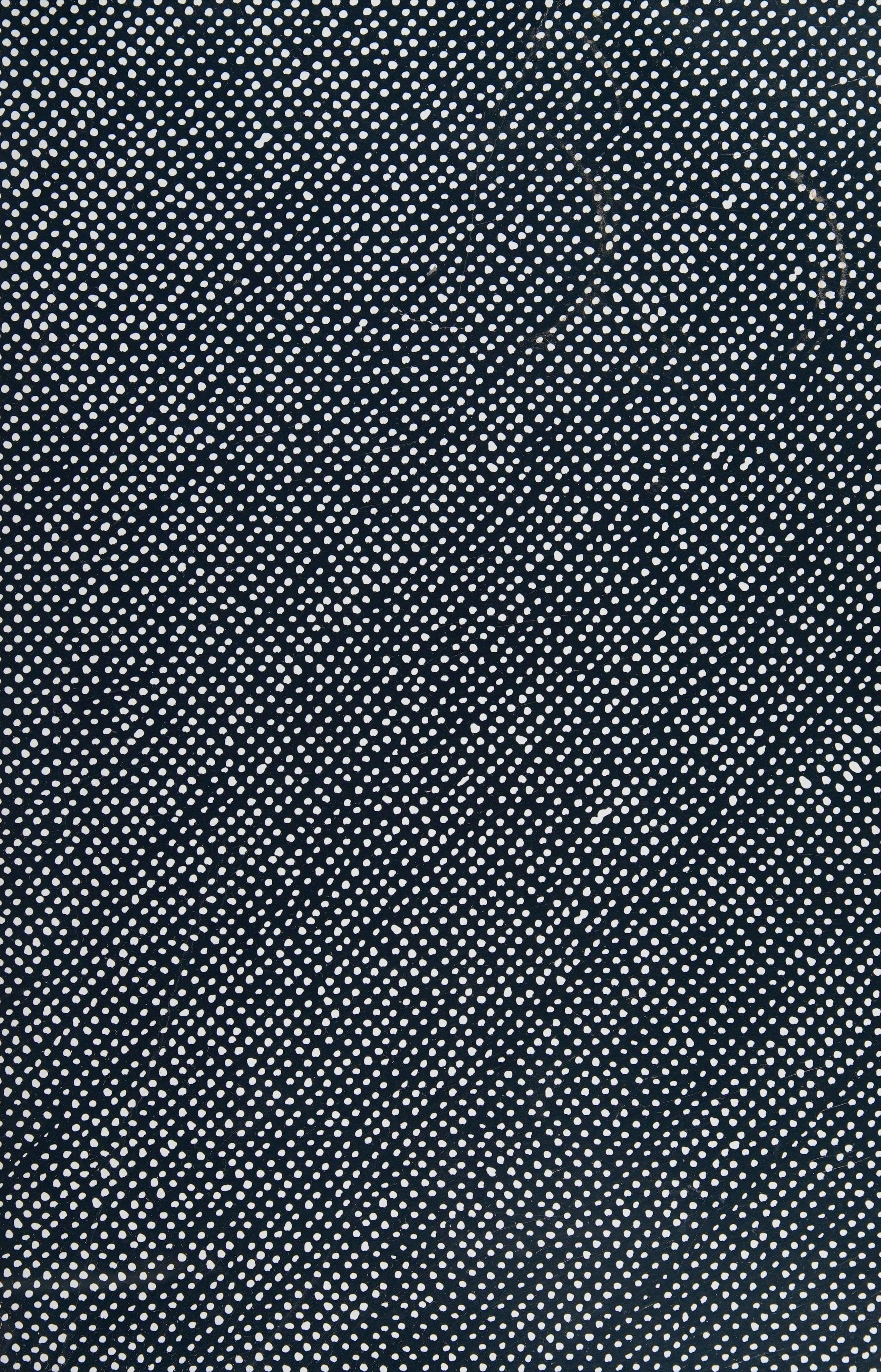 Skulptur Projekte Münster 2017