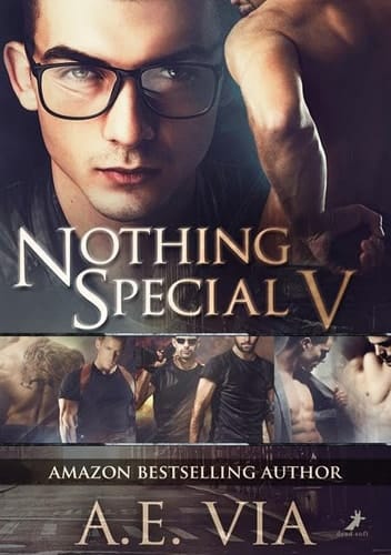 Nothing Special V Nothing Special 5