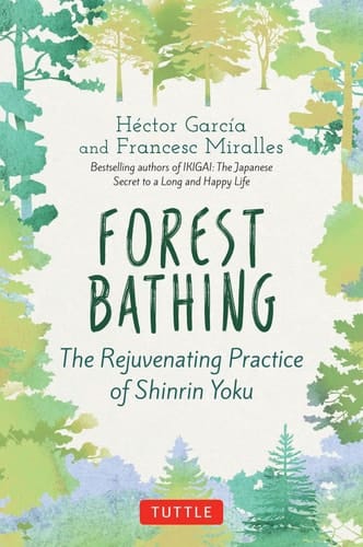 Forest Bathing The Rejuvenating Practice of Shinrin Yoku