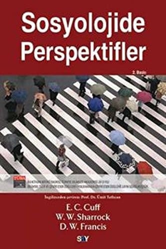 Sosyolojide perspektifler