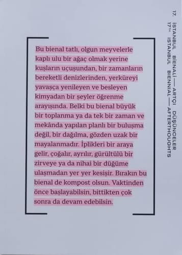 17. İstanbul Bienali--artçı düşünceler