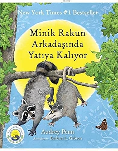 Minik Rakun Arkadasinda Yatiya Kaliyor