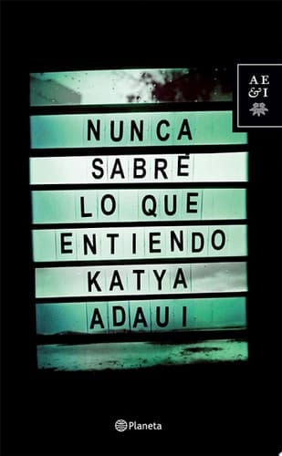 Nunca sabré lo que entiendo