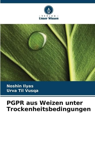 PGPR aus Weizen unter Trockenheitsbedingungen
