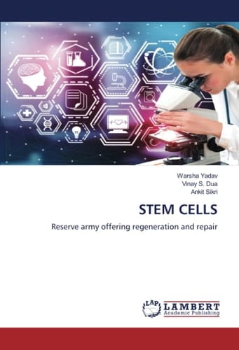 STEM CELLS: Reserve army offering regeneration and repair