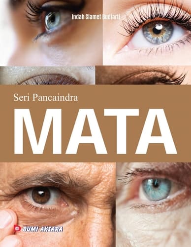 Indra Penglihatan; Mata