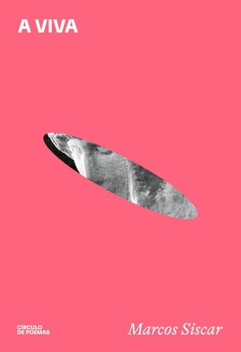 A viva