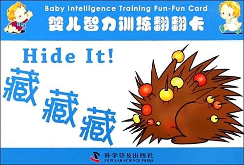 Hide It!(Baby Intelligence Training Fun-Fun Card)