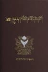 མཁས་དབང་དུང་དཀར་བློ་བཟང་འཕྲིན་ལས་མཆོག་གིས་མཛད་པའི་བོད་རིག་པའི་ཚིག་མཛོད་ཆེན་མོ་ཤེས་བྱ་རབ་གསལ།
