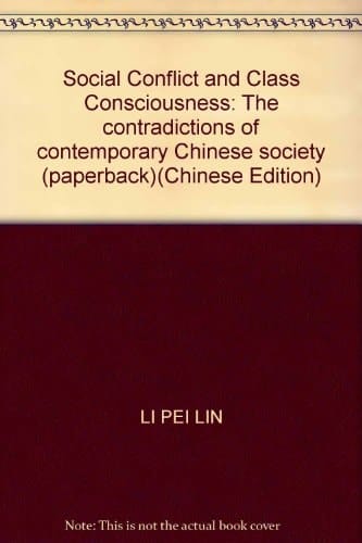 Social Conflict and Class Consciousness: The contradictions of contemporary Chinese society (paperback)(Chinese Edition)