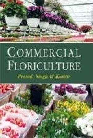 Scented Rices in Uttar Pradesh and Uttaranchal