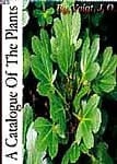 Hortus Suburbanus Calcuttensis A Catalogue of the Plants