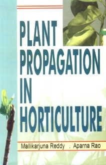 Plant Propagation In Horticulture