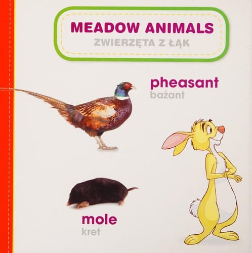 Animals