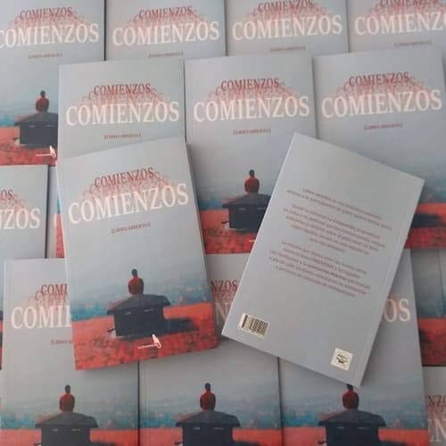 Comienzos