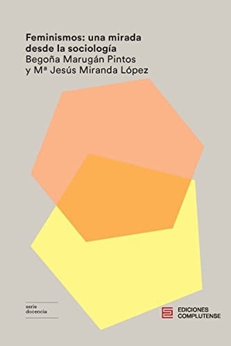 Feminismos una mirada desde la sociología