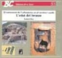 L'edat del bronze El naixement de l'urbanisme en el territori cat