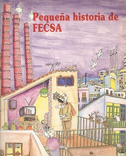 Petita història de FECSA