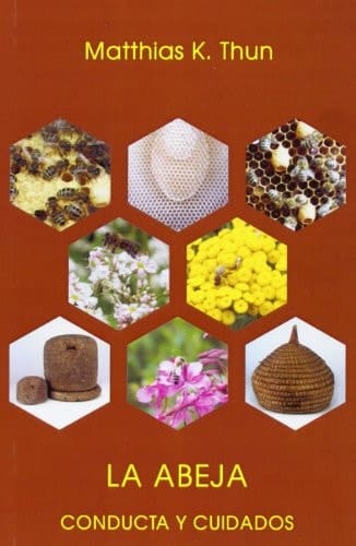 La abeja conducta y cuidados