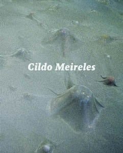 Cildo Meireles