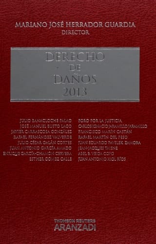 Derecho de daños 2013