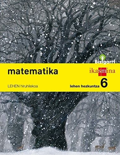 Matematika, 6 Lehen Hezkuntza Bizigarri