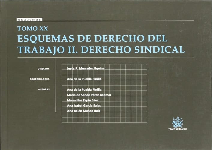 Tomo XX Esquemas de Derecho del Trabajo II Derecho Sindical
