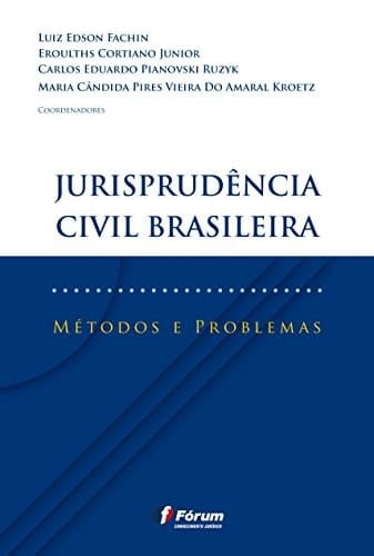 Jurisprudência civil brasileira métodos e problemas