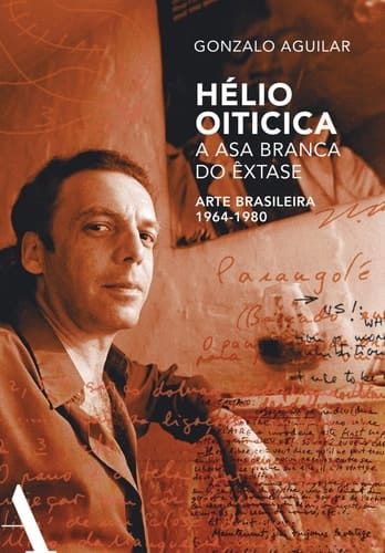 Hélio Oiticica: a asa branca do êxtase - Arte brasileira de 1964-1980