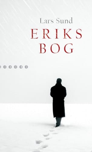 Eriks bog roman