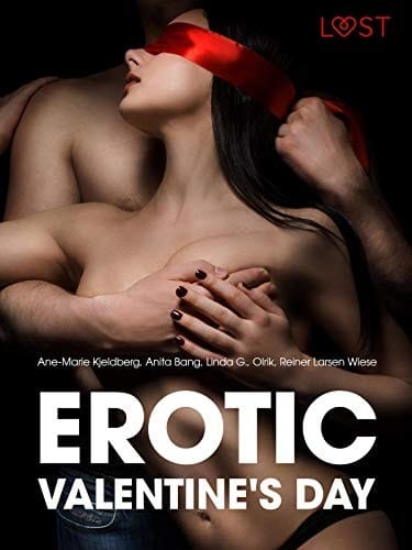 Erotic Valentine's Day - 6 erotiske historier